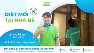 Bảng giá dịch vụ diệt mối tại Nhà Bè mới nhất 2026