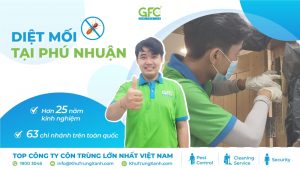Bảng giá dịch vụ diệt mối tại Phú Nhuận mới nhất 2025