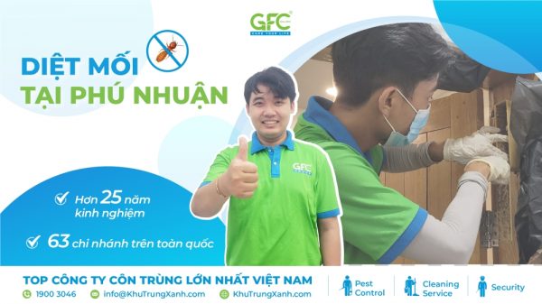 Bảng giá dịch vụ diệt mối tại Phú Nhuận mới nhất 2025
