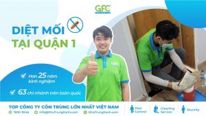 6 địa chỉ diệt mối Quận 1 tận gốc uy tín nhất 2025
