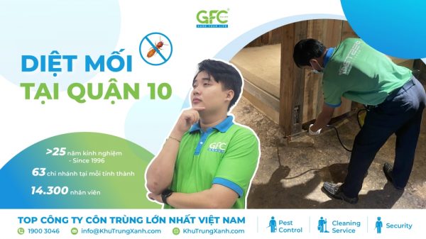 5 địa chỉ diệt mối Quận 10 uy tín nhất 2025