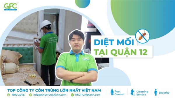 5 địa chỉ diệt mối tận gốc tại Quận 12 uy tín chuyên nghiệp
