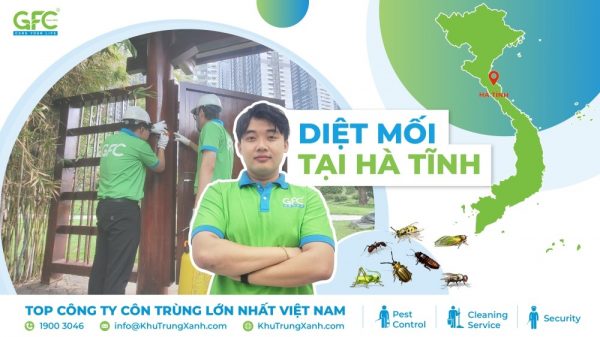 Công ty dịch vụ diệt côn trùng tại Hà Tĩnh