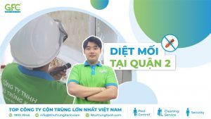 5 địa chỉ diệt mối tận gốc tại Quận 2 uy tín