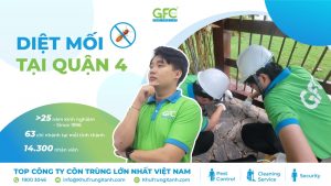 Bảng giá dịch vụ diệt mối tại Quận 4 mới nhất 2025