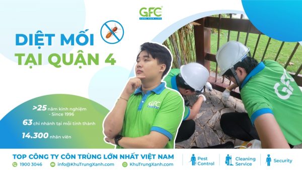 Bảng giá dịch vụ diệt mối tại Quận 4 T12/2024 mới nhất