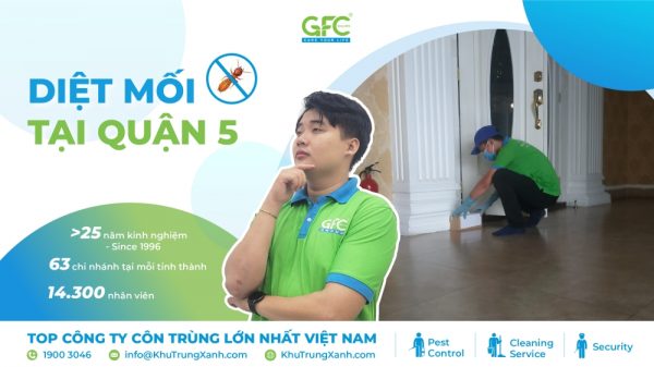 5 đơn vị diệt mối tận gốc Quận 5 chuyên nghiệp, hiệu quả