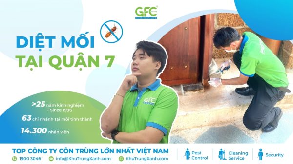 5 đơn vị diệt mối tận gốc Quận 7 uy tín, chuyên nghiệp