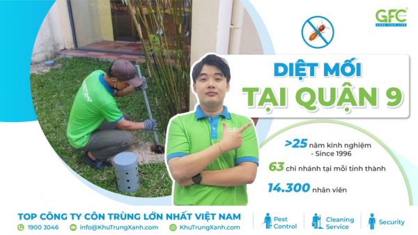 4 địa chỉ diệt mối tại Quận 9 tận gốc, giá tốt