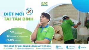 5 địa chỉ diệt mối tận gốc tại Tân Bình uy tín nhất