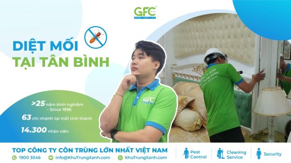 5 địa chỉ diệt mối tận gốc tại Tân Bình uy tín nhất