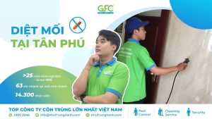 5 địa chỉ diệt mối tận gốc tại Tân Phú uy tín nhất