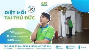 5 địa chỉ diệt mối tận gốc Thủ Đức uy tín nhất