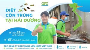 CÔNG TY DIỆT CÔN TRÙNG TẠI HẢI DƯƠNG