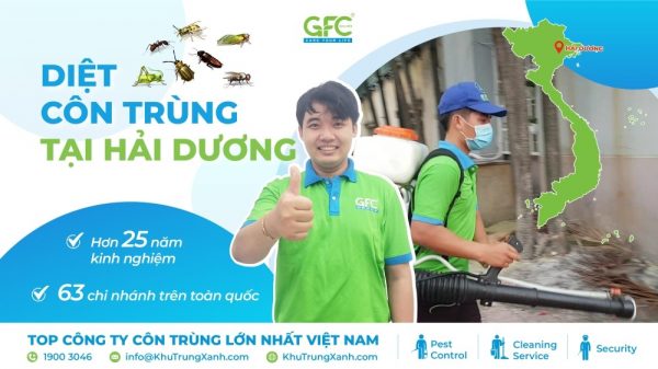CÔNG TY DIỆT CÔN TRÙNG TẠI HẢI DƯƠNG