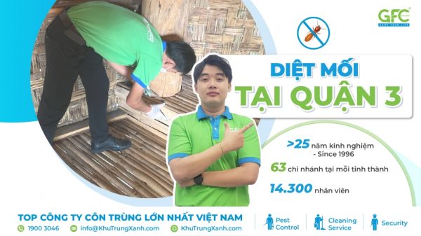 5 địa chỉ diệt mối tại Quận 3 chuyên nghiệp, uy tín