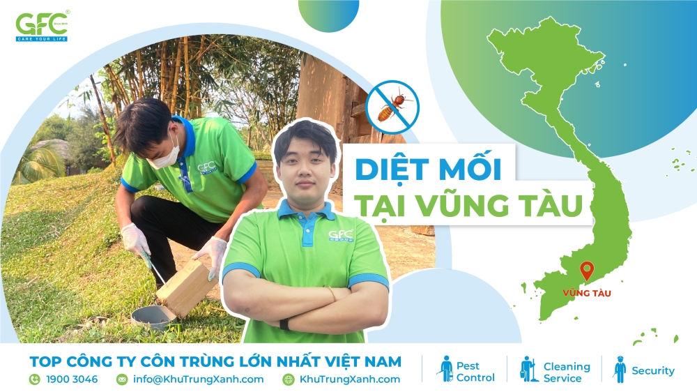diệt mối tại Vũng Tàu