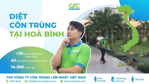 Công ty dịch vụ diệt côn trùng tại Hòa Bình