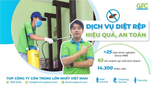Dịch vụ diệt rệp giường chuyên nghiệp, hiệu quả nhất 2025