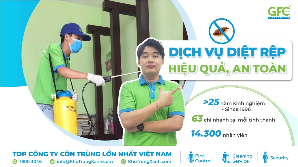 dịch vụ diệt rệp