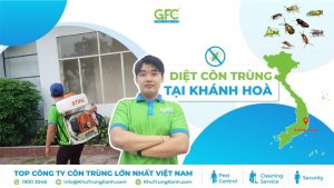 Công ty diệt côn trùng tại Khánh Hòa uy tín, chuyên nghiệp