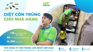 Dịch vụ diệt côn trùng cho nhà hàng