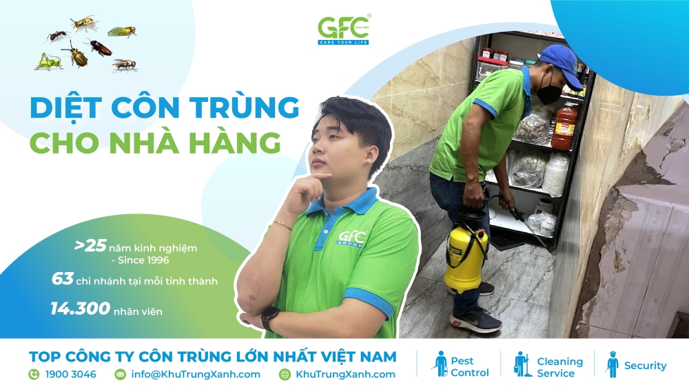 Dịch vụ diệt côn trùng cho nhà hàng