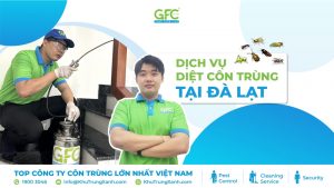 CÔNG TY DIỆT CÔN TRÙNG TẠI ĐÀ LẠT