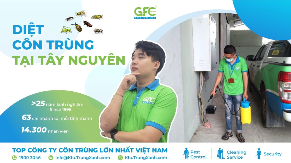 Dịch vụ diệt côn trùng tại Tây Nguyên