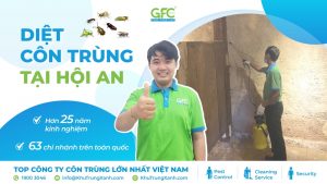 Dịch vụ diệt côn trùng tại Hội An uy tín, chuyên nghiệp