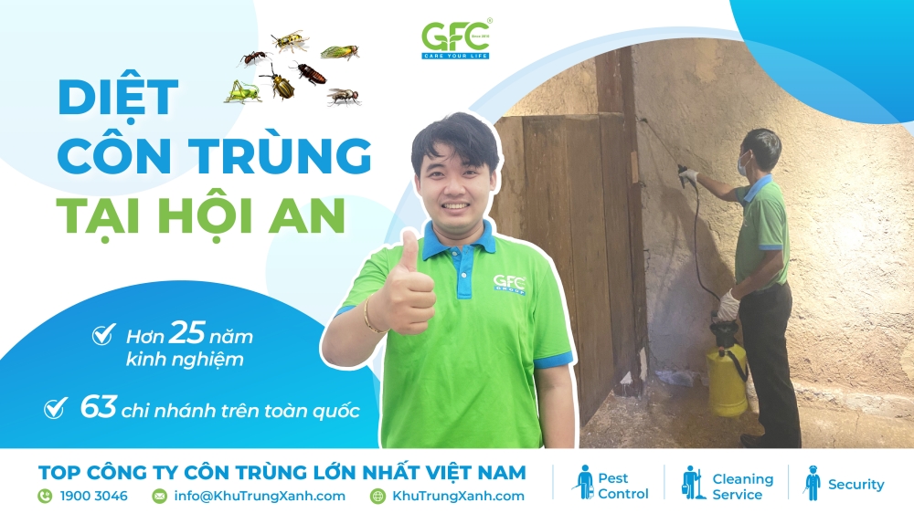 Dịch vụ diệt côn trùng tại Hội An