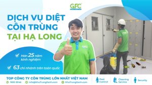 CÔNG TY DIỆT CÔN TRÙNG TẠI HẠ LONG
