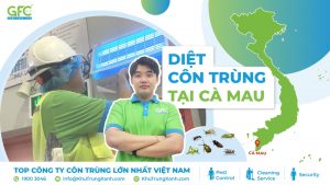 Công ty diệt côn trùng uy tín Cà Mau