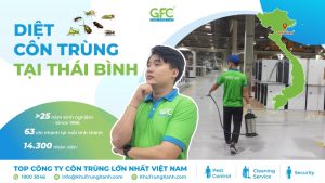 Công ty diệt côn trùng tại Thái Bình giá rẻ