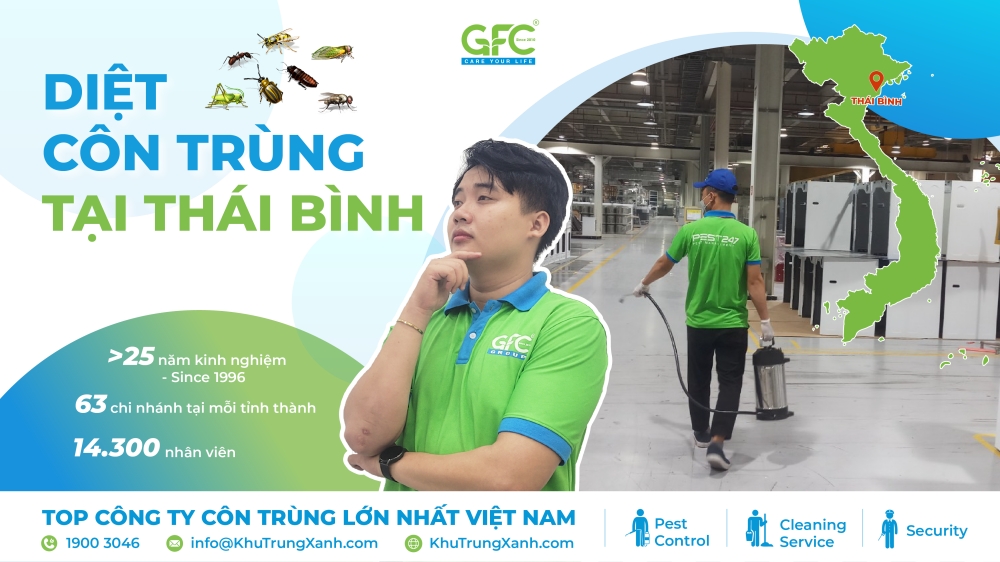 Dịch vụ diệt côn trùng tại Thái Bình
