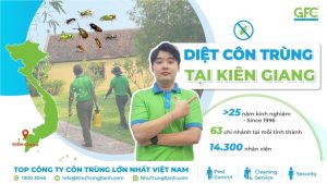 Công ty dịch vụ diệt côn trùng tại Kiên Giang