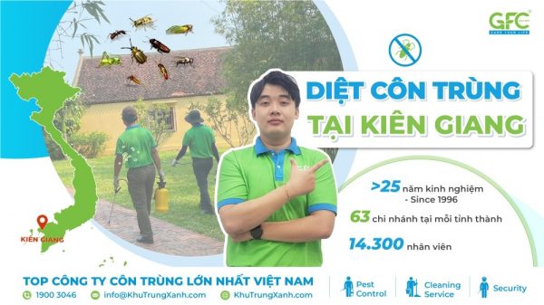Công ty dịch vụ diệt côn trùng tại Kiên Giang