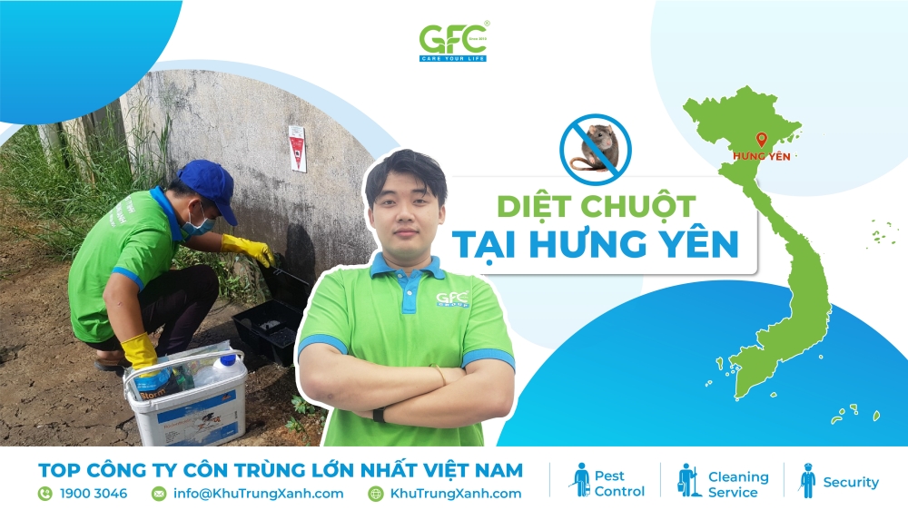 dịch vụ diệt chuột tại Hưng Yên