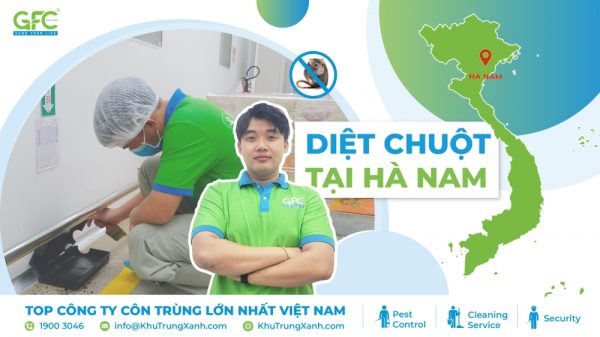 Công ty kiểm soát chuột, tiêu diệt chuột tại Hà Nam