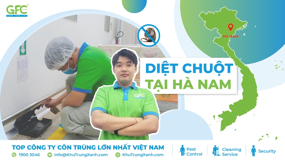 dịch vụ diệt chuột tại Hà Nam