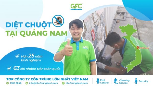 Công ty kiểm soát chuột, tiêu diệt chuột tại Quảng Nam