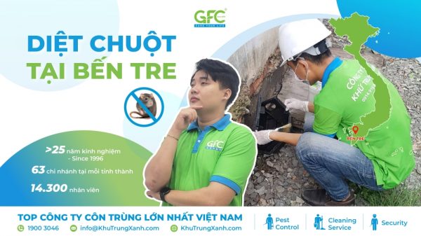 Công ty kiểm soát chuột, tiêu diệt chuột tại Bến Tre