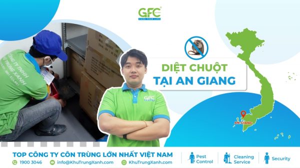 Công ty kiểm soát chuột, tiêu diệt chuột tại An Giang