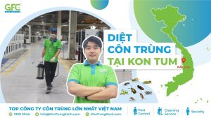 Công ty dịch vụ diệt côn trùng tại Kon Tum
