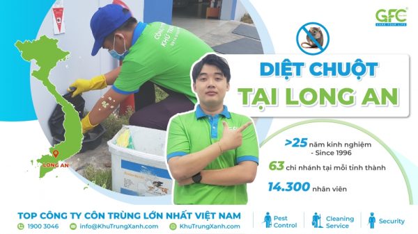 Công ty kiểm soát chuột, tiêu diệt chuột tại Long An