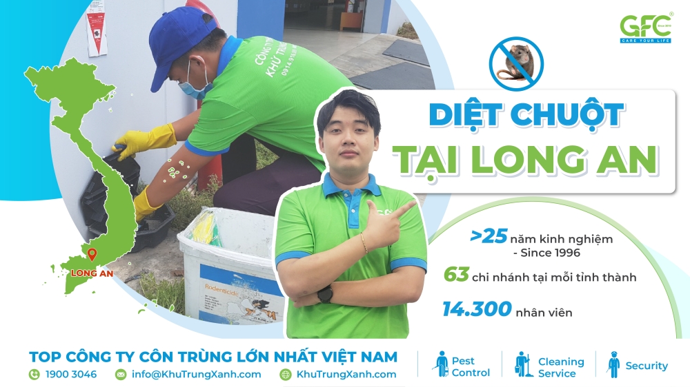 dịch vụ diệt chuột tại Long An