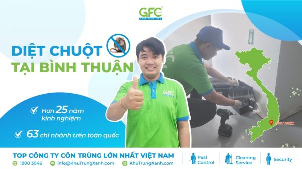 Công ty kiểm soát chuột, tiêu diệt chuột tại Bình Thuận