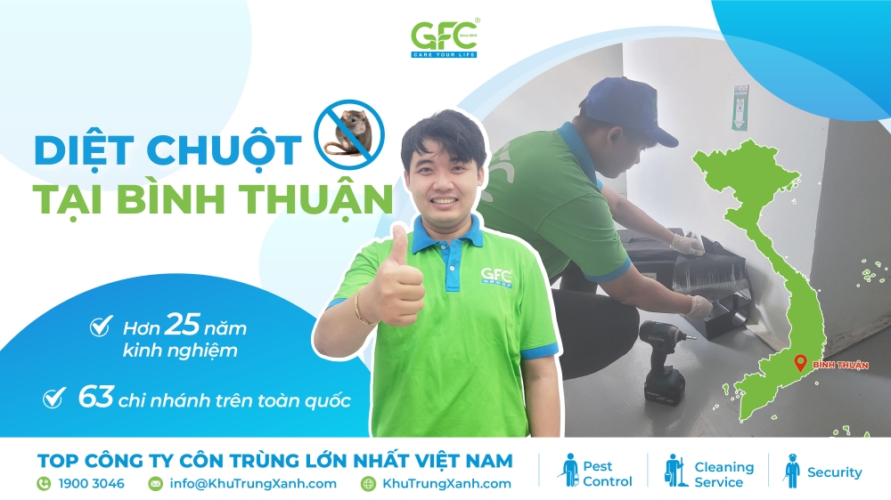dịch vụ tiêu diệt chuột tại Bình Thuận