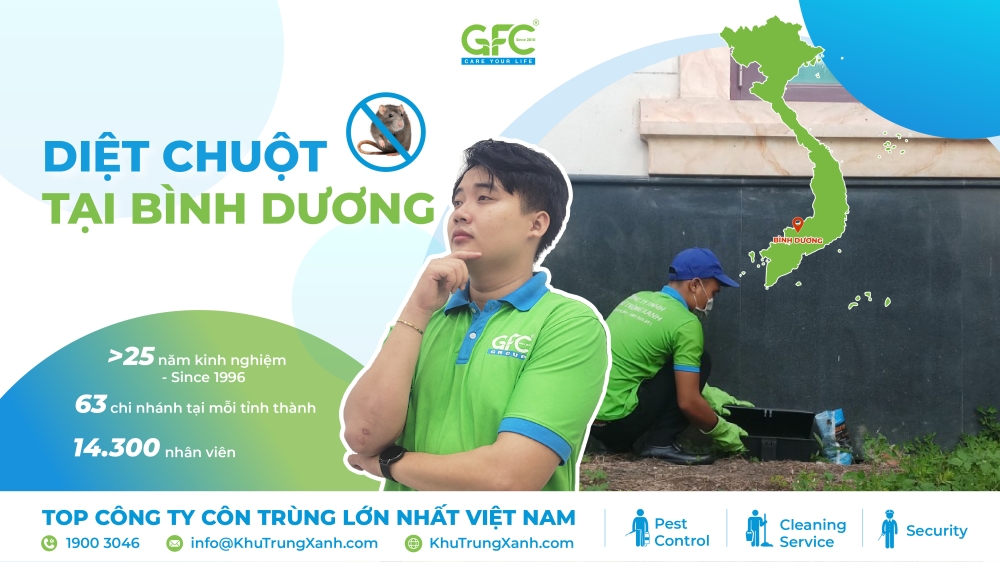 dịch vụ diệt chuột tại Bình Dương