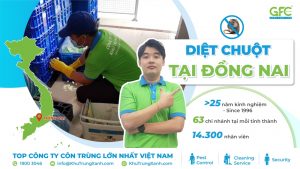 Công ty kiểm soát chuột, tiêu diệt chuột tại Đồng Nai